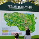 용둔목장 네이버블로그