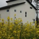 저지1521 이미지