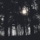 추동캠프 이미지