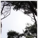 여주-0904 이미지