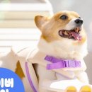 동궁쉼터 이미지