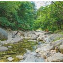 지장산 펜션 민박 이미지