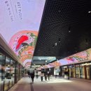 모모네국수집 | [모모유부 원그로브점] 새로운 분식 맛집! 마곡 점심 맛집 추천!