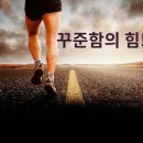 성광환경(주) | 헬스장 리드헬스&amp;PT&amp;필라테스24시 &lt;성광 쌤과 다이어트 성공후기&gt; #연산동헬스장 #연산동피티 #연산동PT