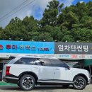 900 | 구미 썬팅, 팰리세이드 버텍스900 시공 후기