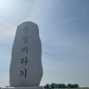 청춘이면호로고루점