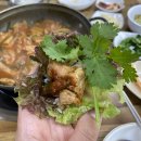 시집안간돼지 이미지