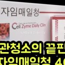 앨리스인크루즈