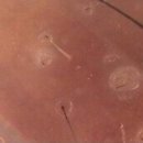 다모드림의원 이미지