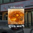 탐나는마라탕 | [제주/맛집] 탐나는 마라탕 • 성산일출봉 마라탕 맛집 • 포장 후기
