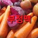 부정맥 이미지