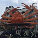 영덕 가볼만한곳 추천명소 10곳 이미지