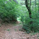 사색의길(명재고택) 이미지