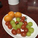 토마토 노래연습장 이미지