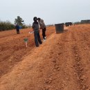 버들농장 이미지