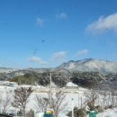 고남산농장 네이버블로그