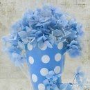 한주동안 이미지