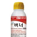 비지니스호텔 마이홈 이미지