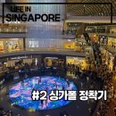 도진식당 | [싱가폴 1년살이] 싱가폴 정착기_독감에 향수병까지 도진 서글픈 해외살이 시작 1, 2주차