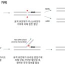 프라임개발 이미지