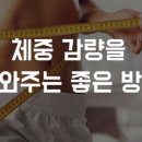 피트너피티스튜디오 이미지