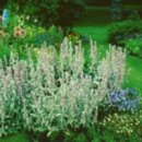 동수목욕탕 이미지