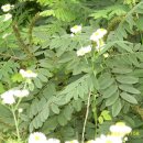 푸른솔농장2 이미지