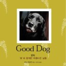 [림스출장훈련소]GOOD DOG(굿독) - 보와 함께한 아름다운 날들 이미지