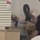 굴다리식당 | 포인핸드 경의숲점 평일 방문/공덕역 굴다리식당 후기
