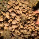 김현규농장 이미지