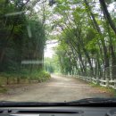 상상목장 이미지