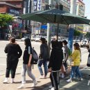 그늘막25 이미지