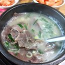 생거진천자연휴양림 진입로 가로수 | 가마솥 소머리곰탕’ &amp; ‘카페에코뮤’ – 생거진천자연휴양림 초입, 가성비 좋고 맛있는 식당과 분위기...