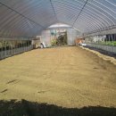 허웅농장 이미지