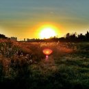 승기천 신연수역 이미지