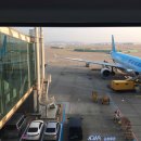 버즈힐펜션 | 동생과떠나는 4박6일 세부 자유여행 ❣