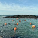 육지&해녀 이미지