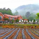 산야초황토마을 이미지