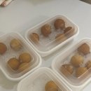 패션고구미