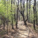 대공원나들길 이미지