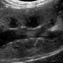 인천반려동물농장 이미지