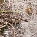 파스타리프(남포아미점) | 아바니 플러스 파레스 몰디브 신혼여행 후기-둘째날(6.22~6.29)