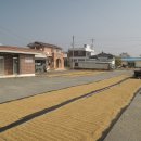 장평전통시장 이미지