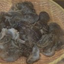 바담칼국수 - 밀양시 미리벌중앙로7길 23-1 | 바담칼국수
