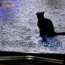 하하횟집