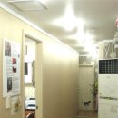 마음을 나누는 동물병원 이미지