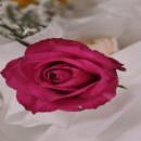 문화병원매점 이미지