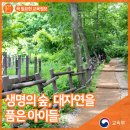 전국 최초 공립 숲유치원 '세종 솔빛숲유치원' 이미지