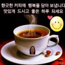시카코 Daum카페