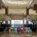 907 | 괌 롯데호텔 내돈내산 3박 4일 후기 907호, 1006호 /괌 롯데호텔 바다, 수영장